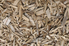biomass boilers Silian